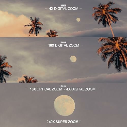 Palm trees and moon at different zoom levels.